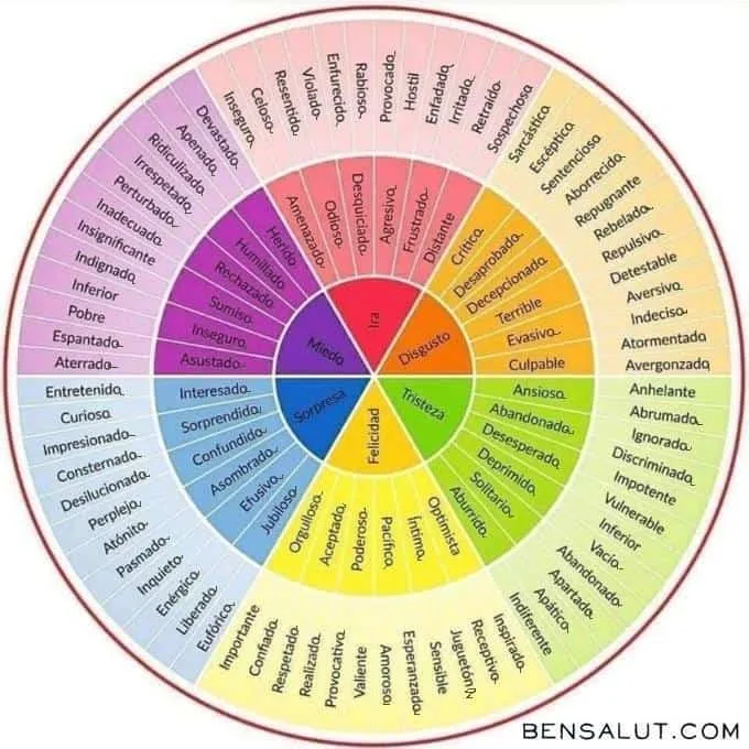 Rueda de emociones